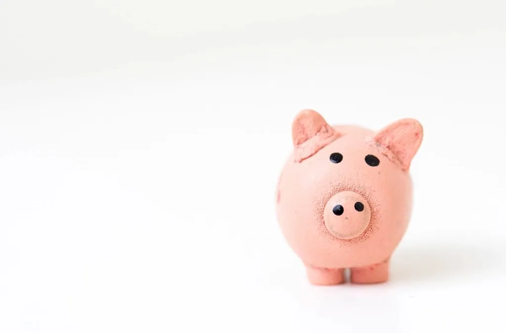 A small pink piggy bank on a white background